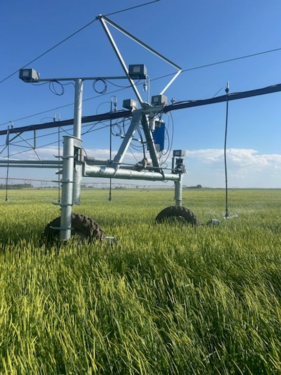 NHN 1st Road S, Fort Shaw, MT 59443