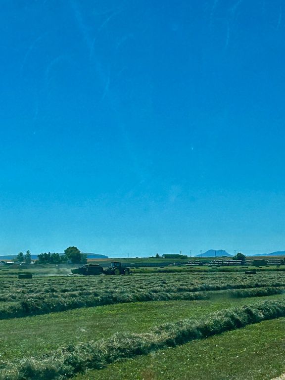 NHN 1st Road S, Fort Shaw, MT 59443 photo 5