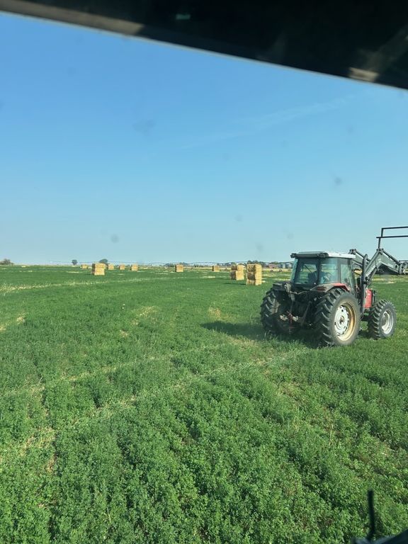 NHN 1st Road S, Fort Shaw, MT 59443 photo 6