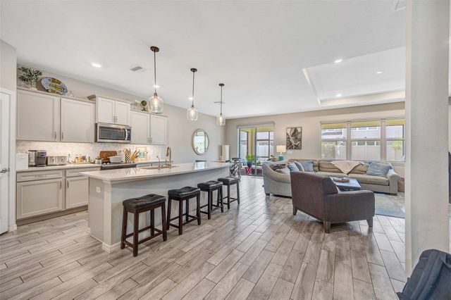18928 WILLOWMORE CEDAR DRIVE, Lutz, FL 33558