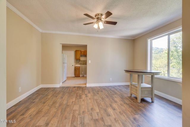 2629 Birdwell Street, Kingsport, TN 37664