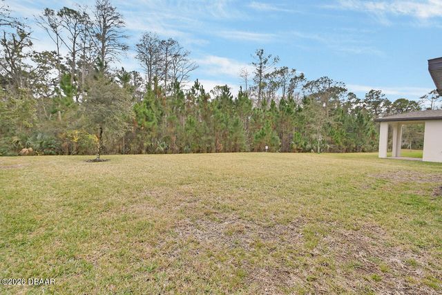 335 Sarah Nicole Way, New Smyrna Beach, FL 32168