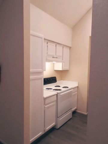 14550 Fonmeadow Drive 1100, Houston, TX 77035