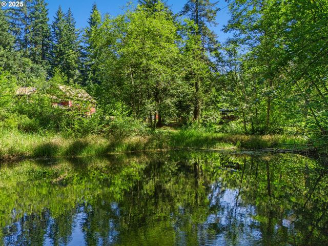 34821 Ne GABLE Ave, La Center, WA 98629