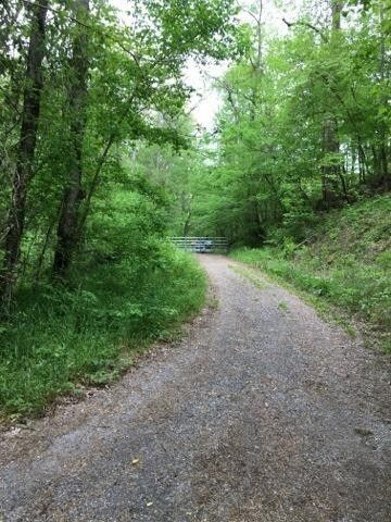 94 Holiday Haven Dr, Smithville, TN 37166