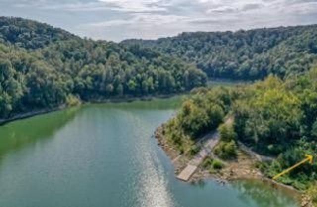 94 Holiday Haven Dr, Smithville, TN 37166