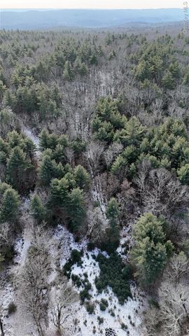 95 Skinner Road, Wurtsboro, NY 12790