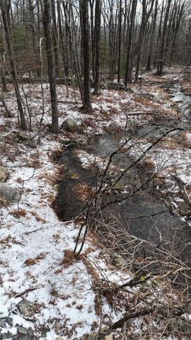 95 Skinner Road, Wurtsboro, NY 12790