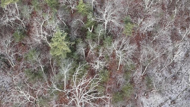 95 Skinner Road, Wurtsboro, NY 12790