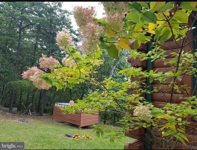 1052 PARKSIDE DR, Berkeley Springs, WV 25411