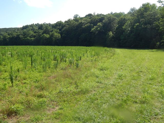 3795 Wayland Springs Rd, Iron City, TN 38463