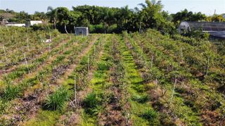 153XX SW 177 Ave (Krome), Miami, FL 33187