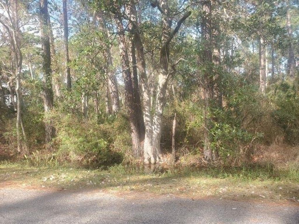 228 Chenault Avenue, Dauphin Island, AL 36528 — exterior