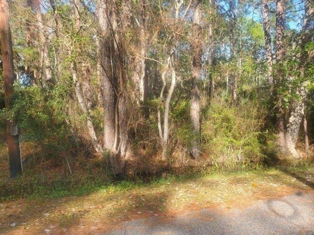 228 Chenault Avenue, Dauphin Island, AL 36528 — photo 2