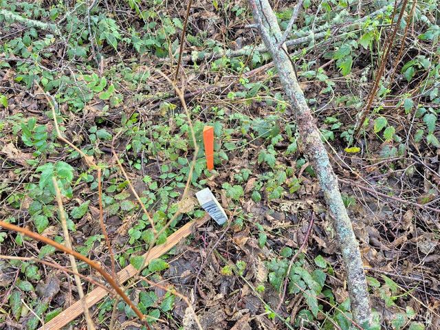 38766 Tinker Place NE, Hansville, WA 98340