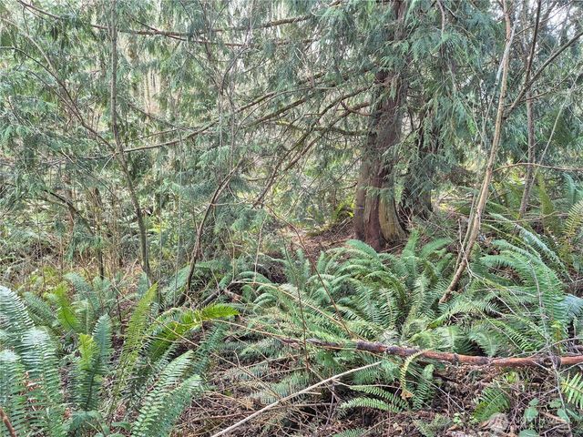 38766 Tinker Place NE, Hansville, WA 98340