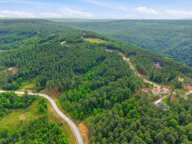0 Birds Eye Way 1099, Guild, TN 37340