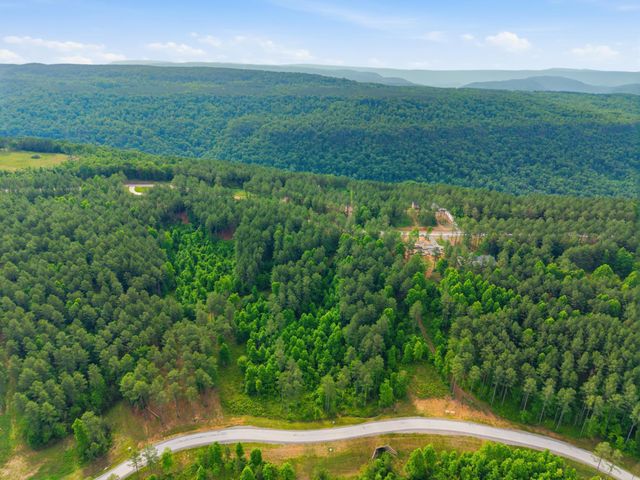 0 Birds Eye Way 1099, Guild, TN 37340