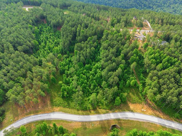0 Birds Eye Way 1099, Guild, TN 37340