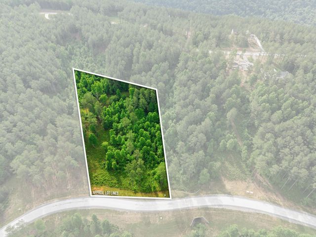 0 Birds Eye Way 1099, Guild, TN 37340