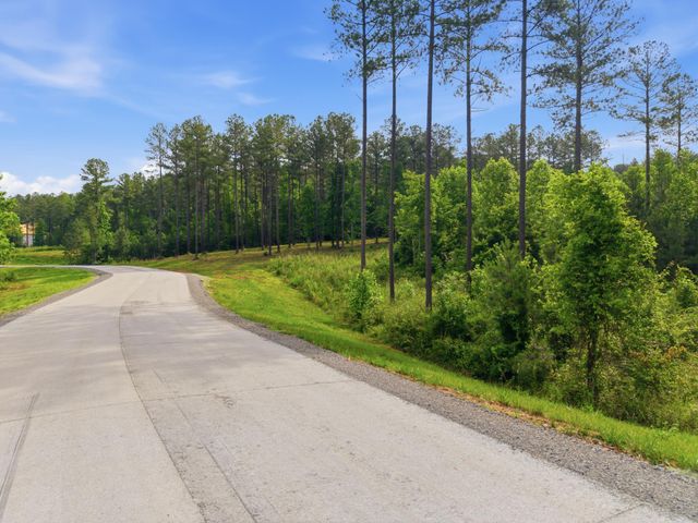 0 Birds Eye Way 1099, Guild, TN 37340