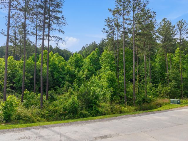 0 Birds Eye Way 1099, Guild, TN 37340
