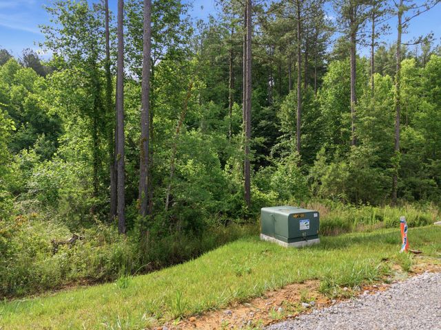 0 Birds Eye Way 1099, Guild, TN 37340