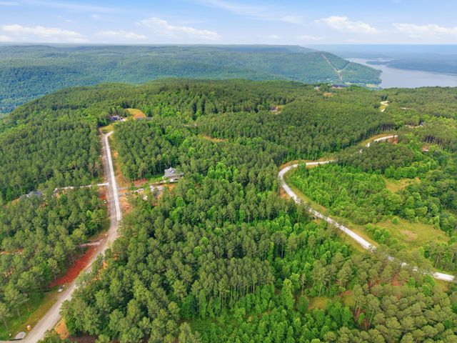 0 Birds Eye Way 1099, Guild, TN 37340