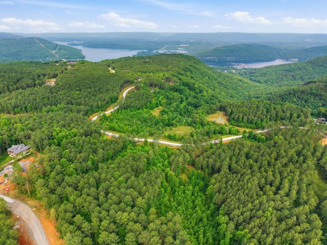 0 Birds Eye Way 1099, Guild, TN 37340