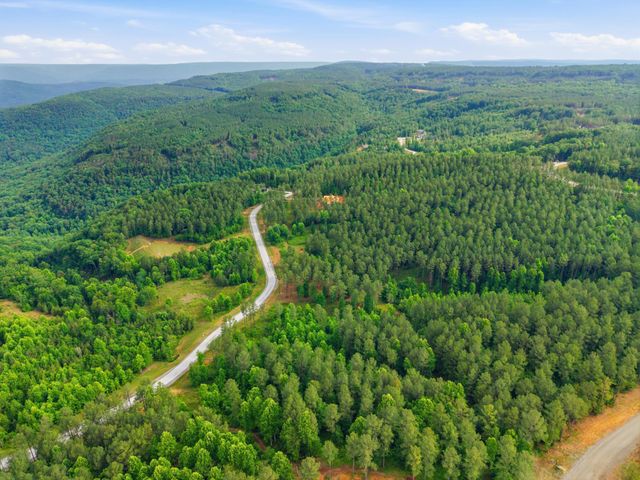 0 Birds Eye Way 1099, Guild, TN 37340