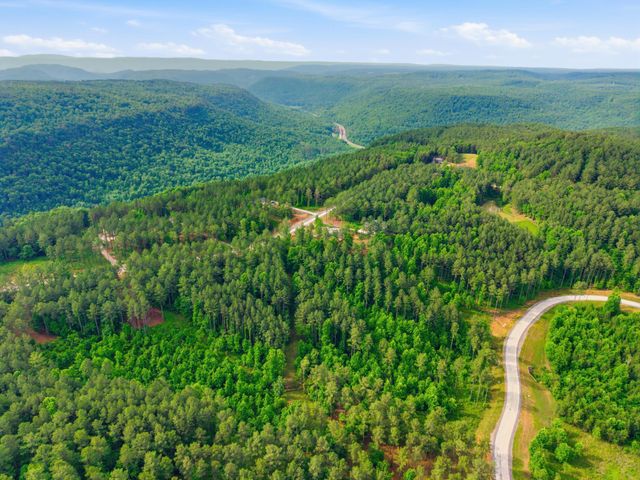 0 Birds Eye Way 1099, Guild, TN 37340
