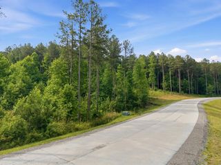 0 Birds Eye Way 1099, Guild, TN 37340