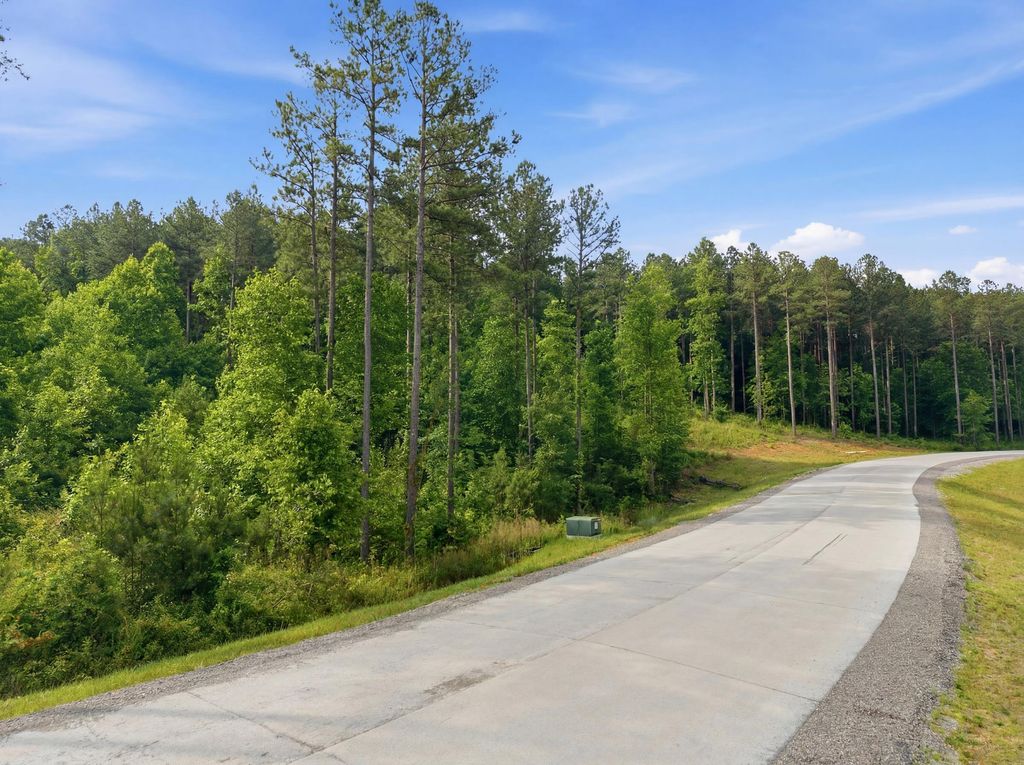 0 Birds Eye Way 1099, Guild, TN 37340