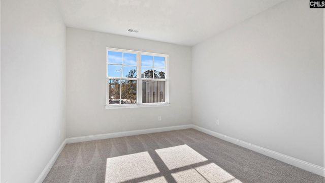 271 Livingston Woods Drive, Irmo, SC 29063