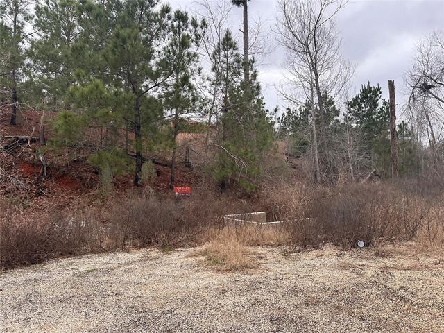 LOT 177 / R32246 Keo Kea CT, Bastrop, TX 78602