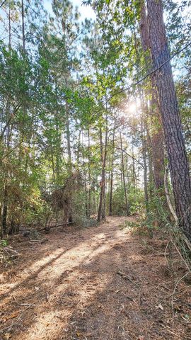 Lot 11 Gregory Lane, New Waverly, TX 77358