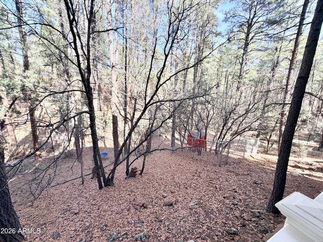 6870 W ROBBIN Lane, Pine, AZ 85544