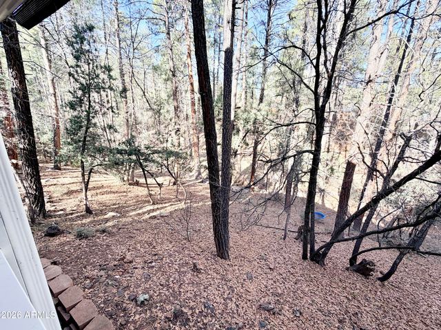 6870 W ROBBIN Lane, Pine, AZ 85544