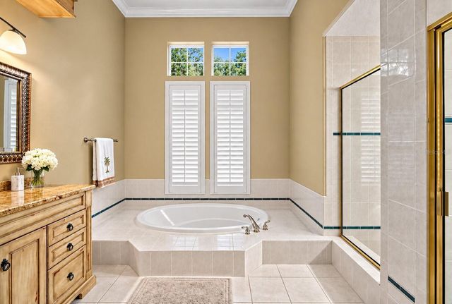 9108 WOODRIDGE RUN DRIVE, Tampa, FL 33647
