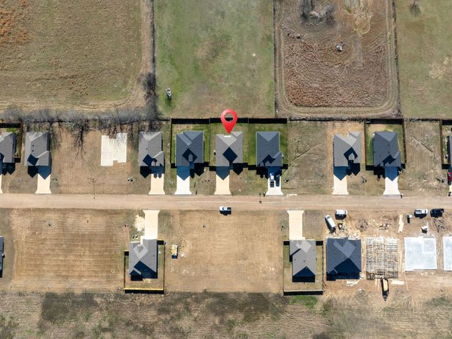 1020 Springview Lane, Mabank, TX 75147