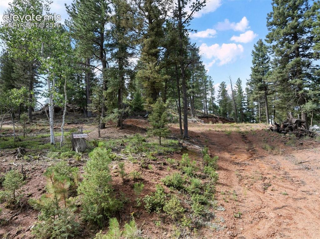 422 Spring Valley Drive, Divide, CO 80814 — exterior