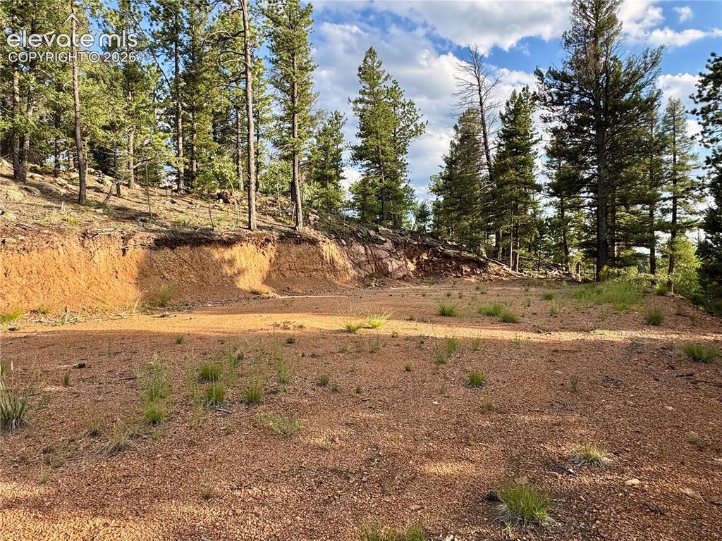 422 Spring Valley Drive, Divide, CO 80814 — photo 2