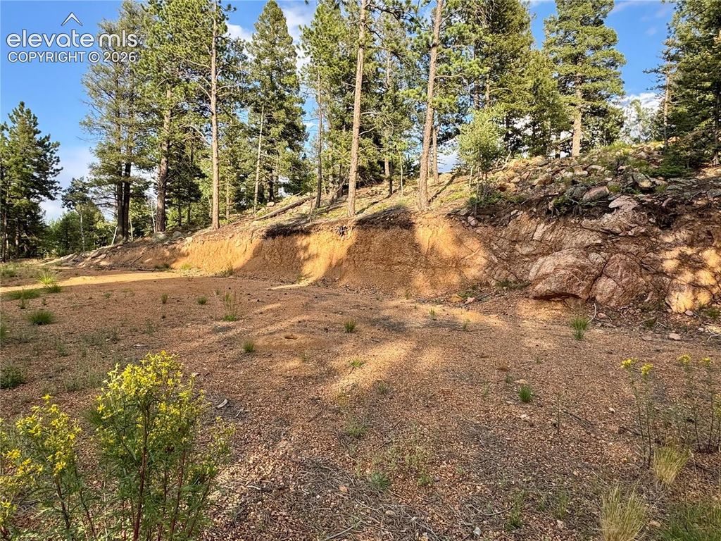 422 Spring Valley Drive, Divide, CO 80814 — photo 3