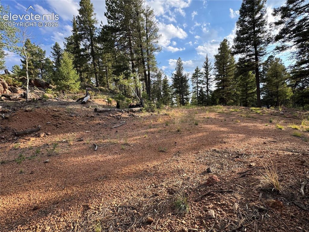 422 Spring Valley Drive, Divide, CO 80814 — photo 4
