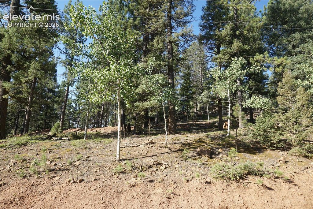 422 Spring Valley Drive, Divide, CO 80814 — photo 5