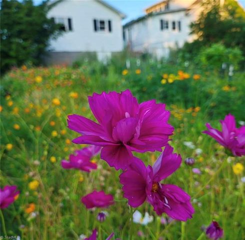 53 Wagoner Street, Sparta, NC 28675