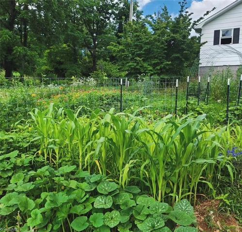 53 Wagoner Street, Sparta, NC 28675