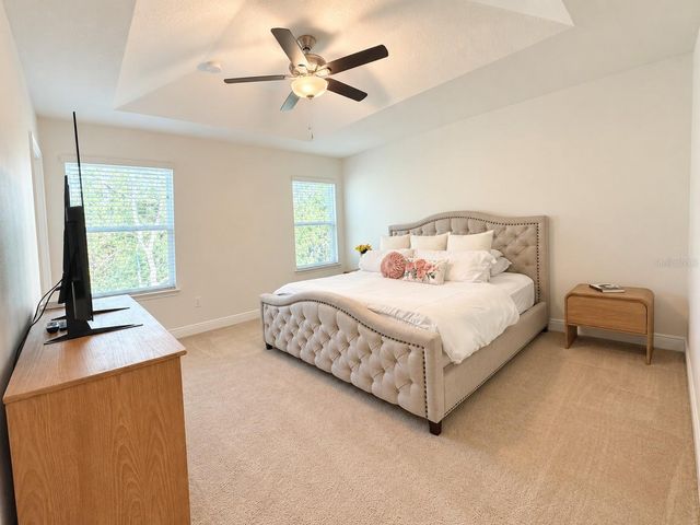 17874 ALTHEA BLUE PLACE, Lutz, FL 33558