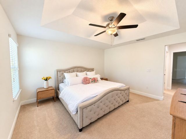 17874 ALTHEA BLUE PLACE, Lutz, FL 33558