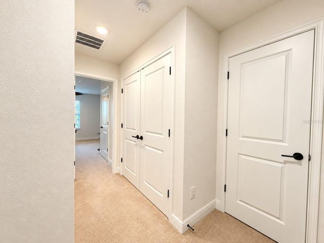 17874 ALTHEA BLUE PLACE, Lutz, FL 33558